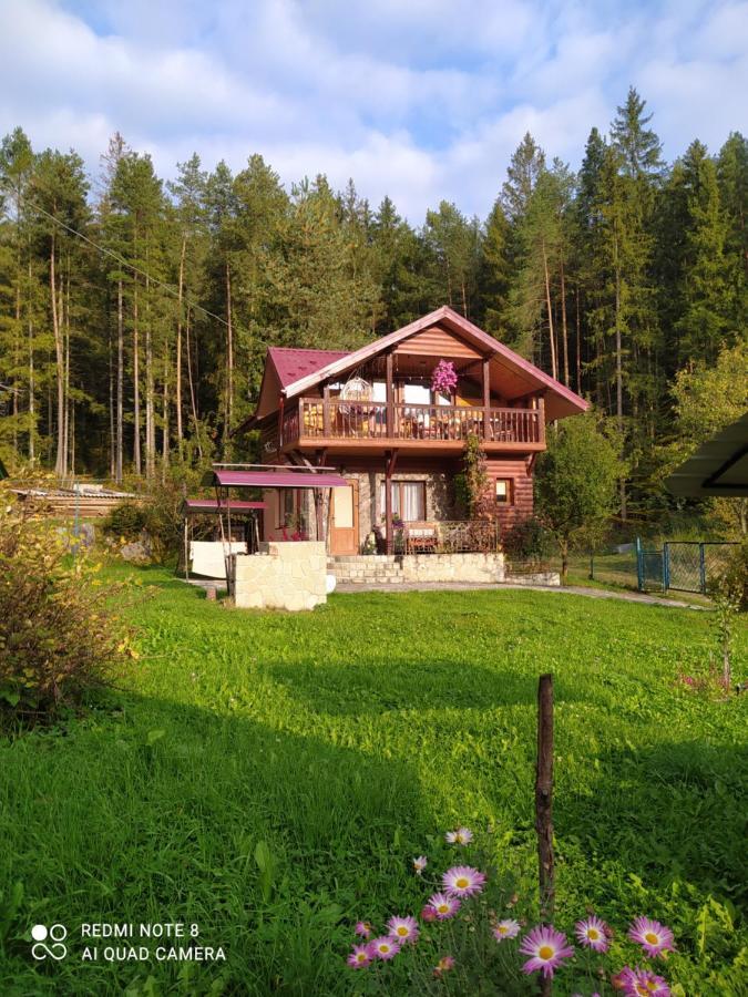 Лісова Казка Villa Yaremche Ngoại thất bức ảnh